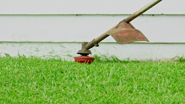 Best Sod Installation  in Norfolk, VA